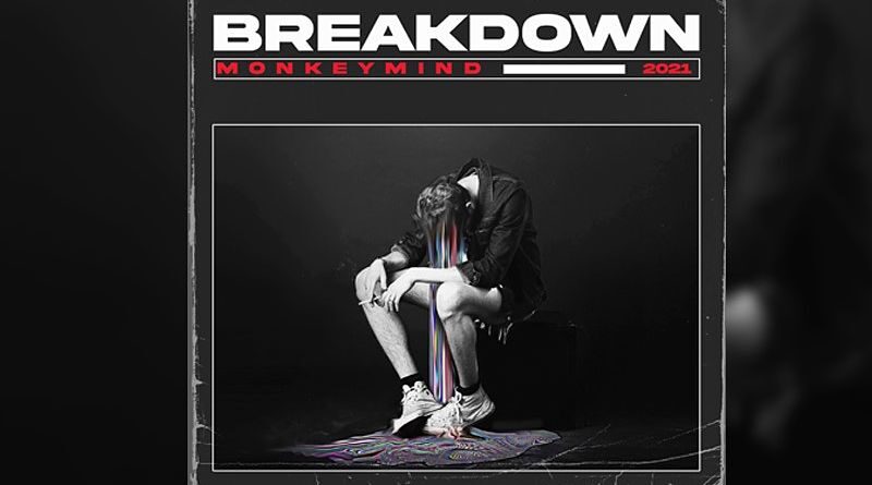 Monkey Mind - Breakdown