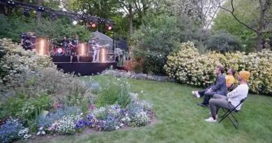 heavy metal - Macron