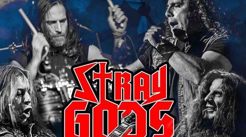 Stray Gods