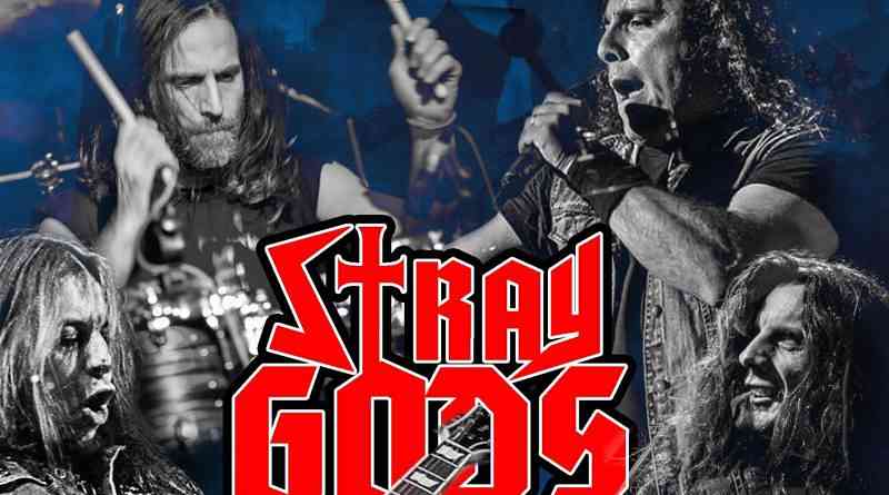 Νέο single απο τους Stray Gods