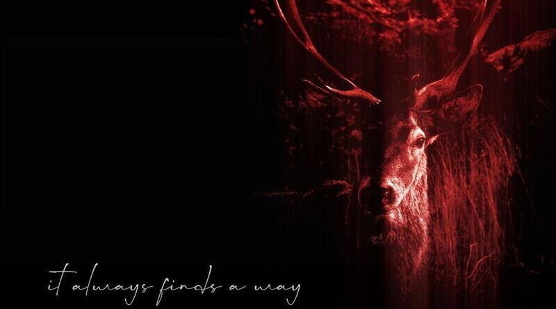 LIMPIN EXPRESS: It Always Finds A Way