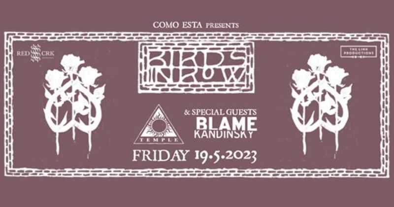 Birds in Row, Blame Kandinsky @ Temple Athens