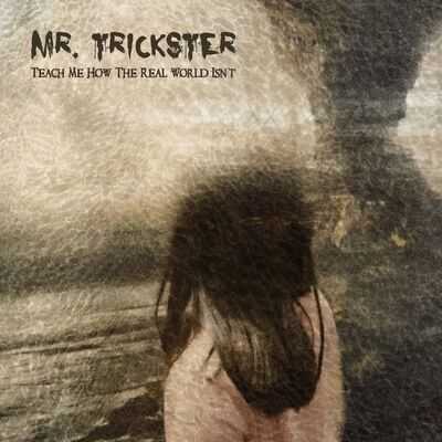 Mr. Trickster - Teach Me How The Real World Isn't