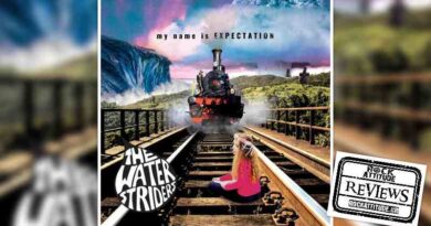 The WaterStriders - My Name is EXPECTATION review
