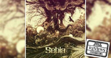 Sebia - Acceptance Of Reality review
