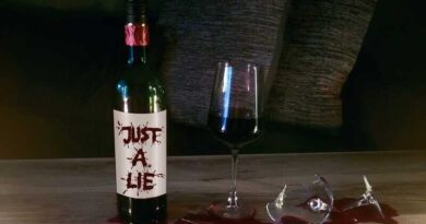 COSMOTHEORY: Νέο single/lyric video "Just A Lie"