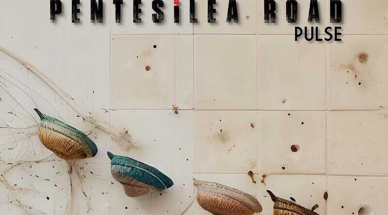 PENTESILEA ROAD: Νέο single "Pulse"