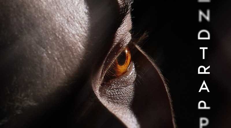 Daenoma - Mindtrapped dtl