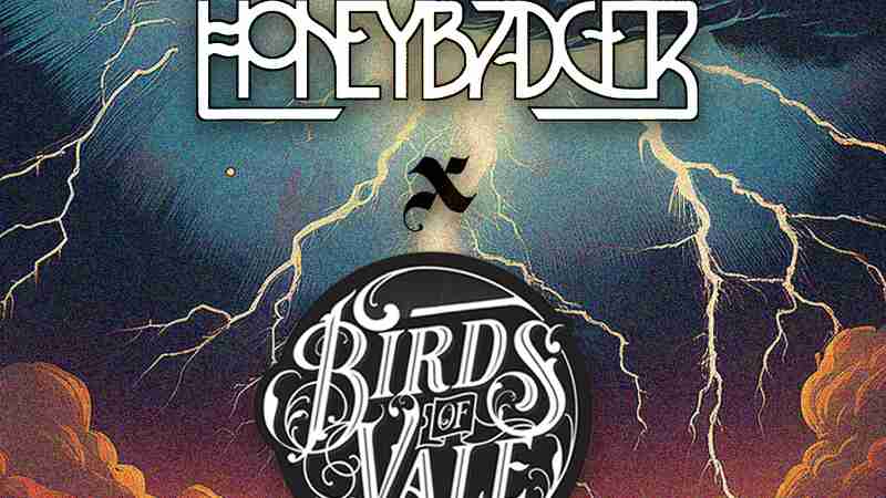 Honeybadger, Birds of Vale @ Bad Tooth