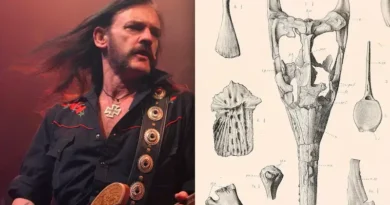 Επιστήμονες στη Μεγάλη Βρετανία έδωσαν το όνομα του αείμνηστου frontman των Motörhead, Ian “Lemmy” Kilmister, σε ένα απολίθωμα προϊστορικού κροκόδειλου μήκους 6 μέτρων. Ο αρχαίος αυτός θαλάσσιος θηρευτής, ηλικίας 145 εκατομμυρίων ετών, φέρει πλέον το όνομα Lemmysuchus.