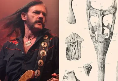 Επιστήμονες στη Μεγάλη Βρετανία έδωσαν το όνομα του αείμνηστου frontman των Motörhead, Ian “Lemmy” Kilmister, σε ένα απολίθωμα προϊστορικού κροκόδειλου μήκους 6 μέτρων. Ο αρχαίος αυτός θαλάσσιος θηρευτής, ηλικίας 145 εκατομμυρίων ετών, φέρει πλέον το όνομα Lemmysuchus.