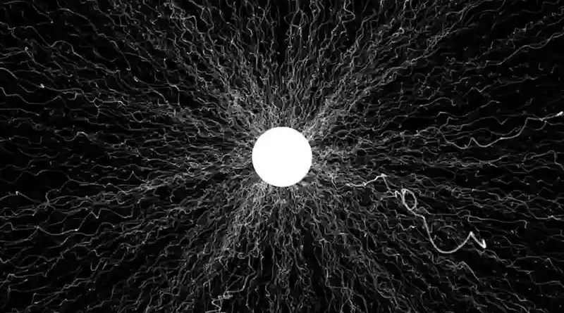 Νέο single απο τους Urstaat, "Between the Sea and the Security Fence"