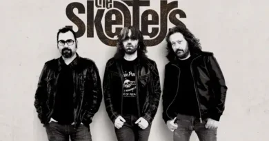 The Skelters
