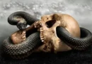 MEMORAIN: Επανακυκλοφορία του "Re-Evolution" με σημαντικές συμμετοχές