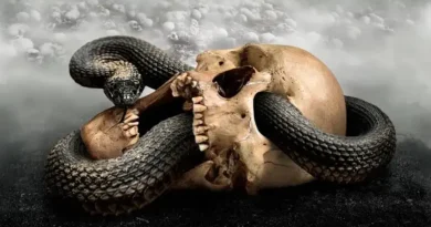 MEMORAIN: Επανακυκλοφορία του "Re-Evolution" με σημαντικές συμμετοχές