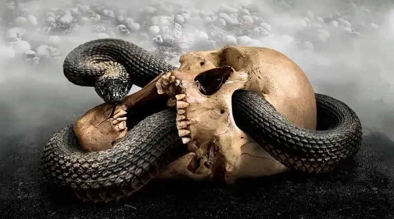 MEMORAIN: Επανακυκλοφορία του "Re-Evolution" με σημαντικές συμμετοχές
