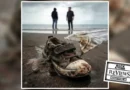 FlyByWire: "Το Πανί" (single) | Review